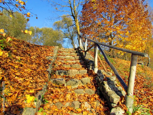 An old, stone staircase, strewn with fallen yellow leaves, with a wooden railing, in the estate of the artist I. Repin in Belarus. Autumn landscape.

 photo