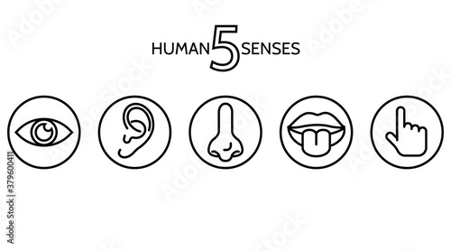 Fototapeta Naklejka Na Ścianę i Meble -  Two sets of icons representing the five senses