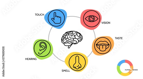 Two sets of icons representing the five senses