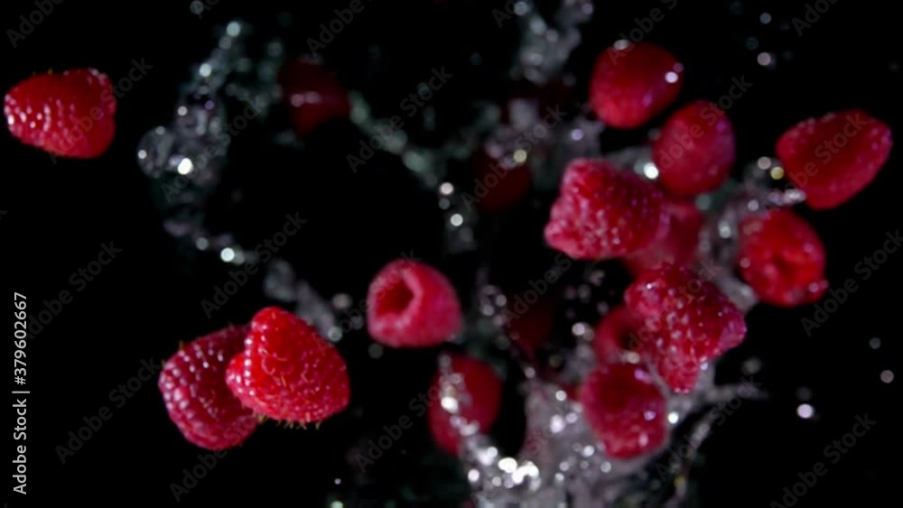 Close up of large red raspberries bouncing up with splashes of water on the black background in slow motion Close up of large red raspberries bouncing up with splashes of water on the black background in slow motion