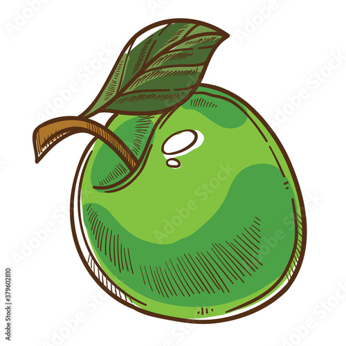 Green apple with leaf, autumn harvesting healthy eating