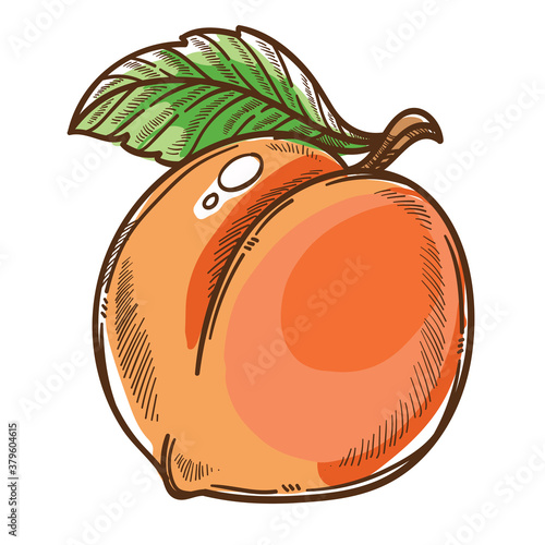 Ripe peach with leaf, seasonal fruit healthy eating