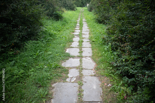 Photo of a footpath in a green park