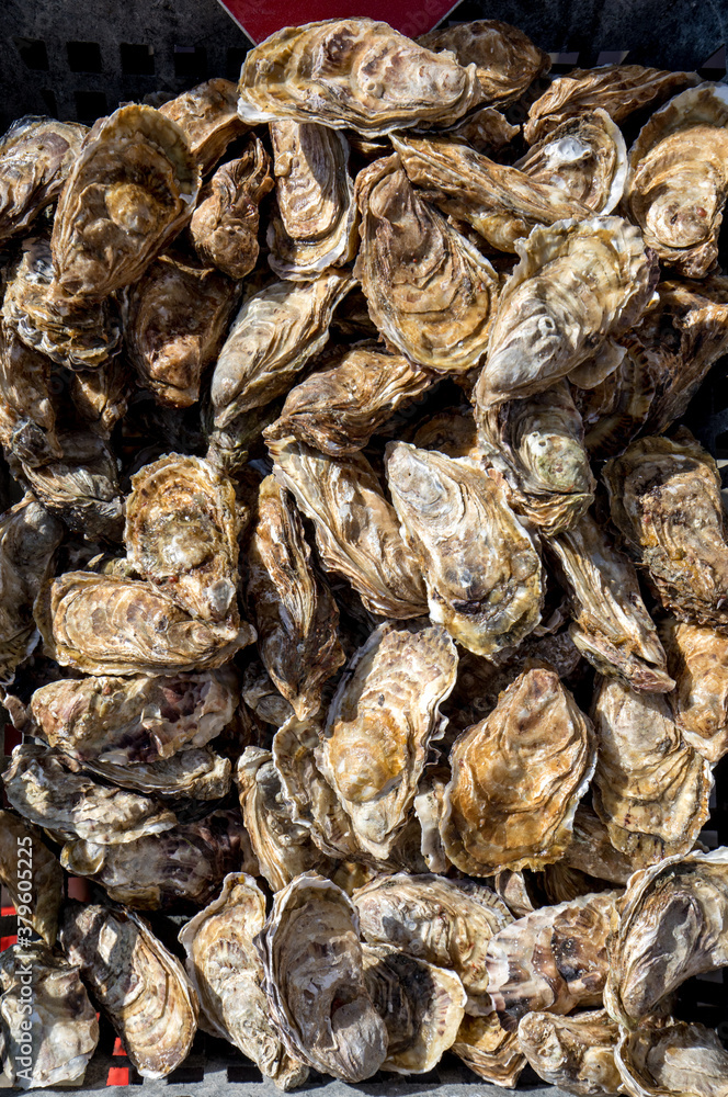 Fresh raw oysters on outdoor street market in Cancale town in Brittany, France