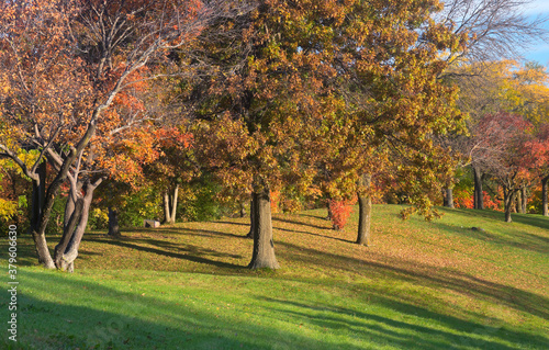 Canvas-taulu marthaler park autumn trees on hilltop