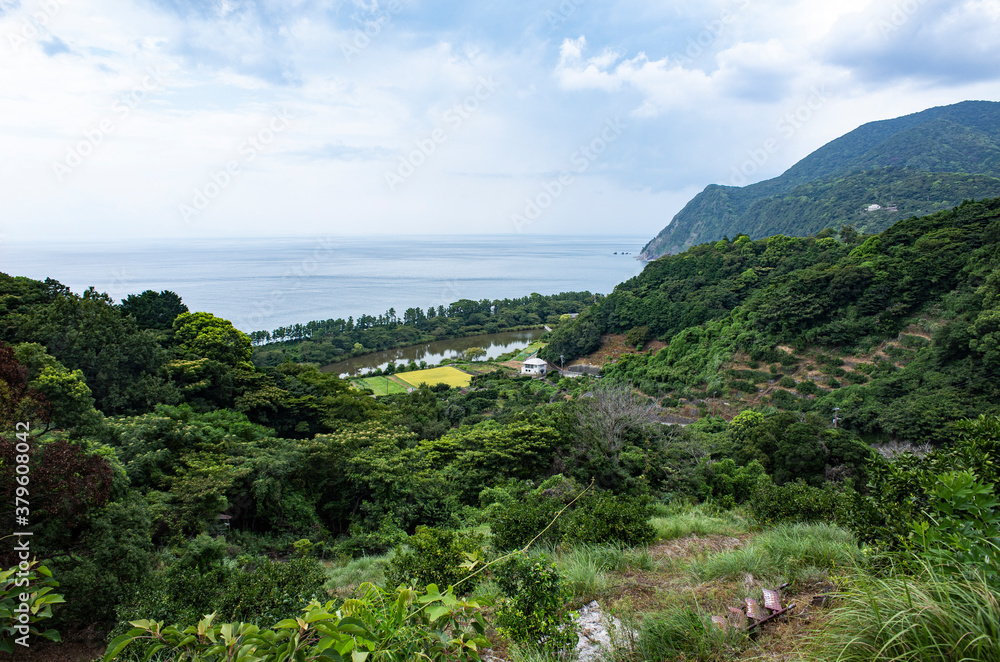 Fototapeta premium 沼津市井田の風景