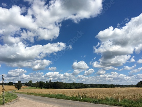 Sussex Country Walk