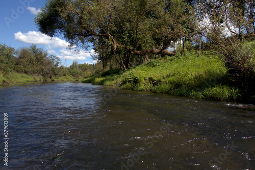 River on a summer day. A river with willows on the green banks. View from the middle of the river.