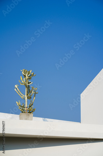 Abstract architecture. Close up building.
