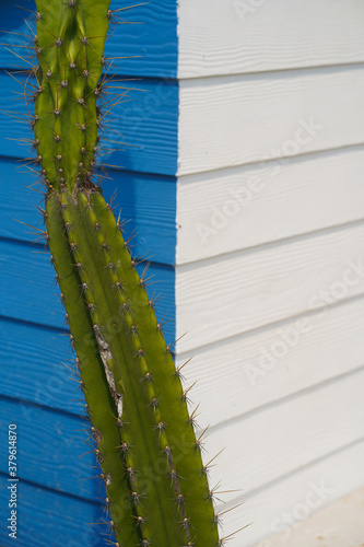 Abstract architecture. Close up building.