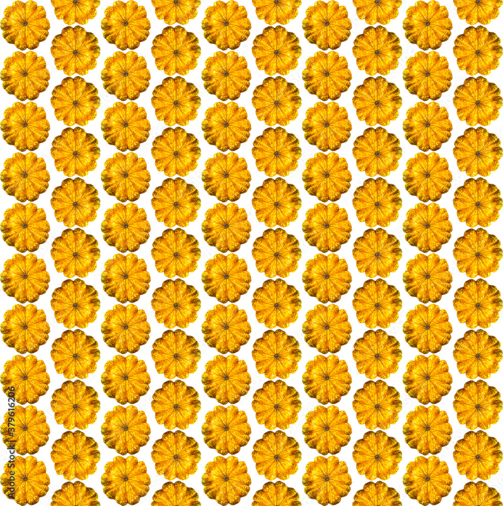 Pattern with yellow patissons on a white background. Squash Pattern with yellow patissons on a white background. Squash
