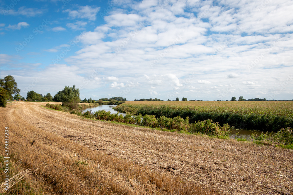 Landscape photo of the beautiful flat Groningen farmers land in summer time, the Netherlands