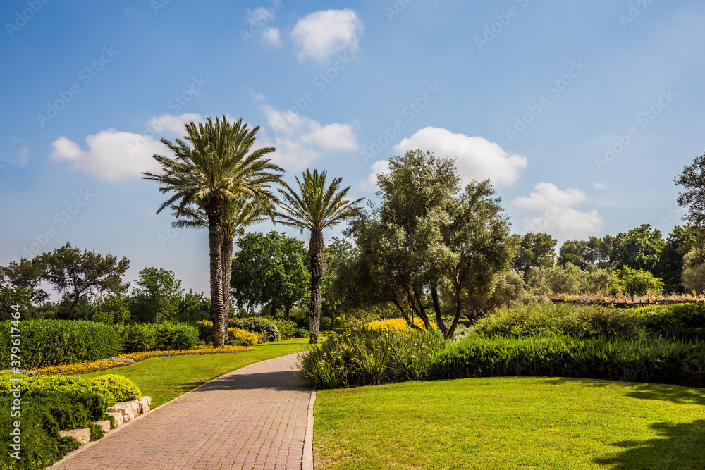 Obraz premium The magnificent park