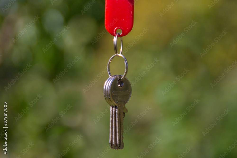 House keys with blurred green garden background