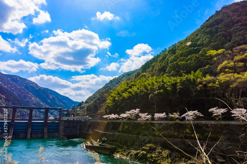 最高に美しい晴天空の球磨川風景
桜咲く季節
日本　熊本県　人吉球磨郡
The most beautiful scenery of the Kuma River in the clear sky
Cherry blossom season
Japan, Kumamoto Prefecture, Hitoyoshi Kuma District photo