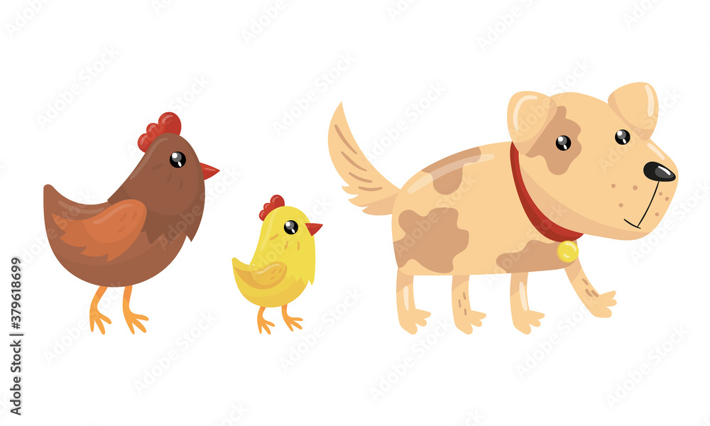 Dog, Chicken and Hen as Domestic and Farm Animal Vector Set
