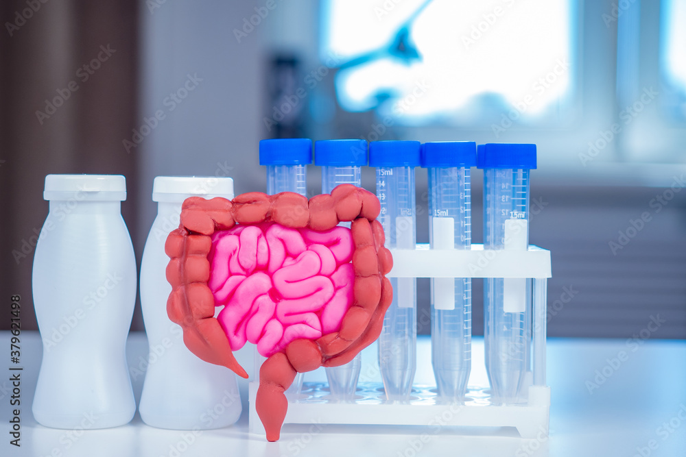 Human intestines are next to test tubes. Test tubes as symbol of health