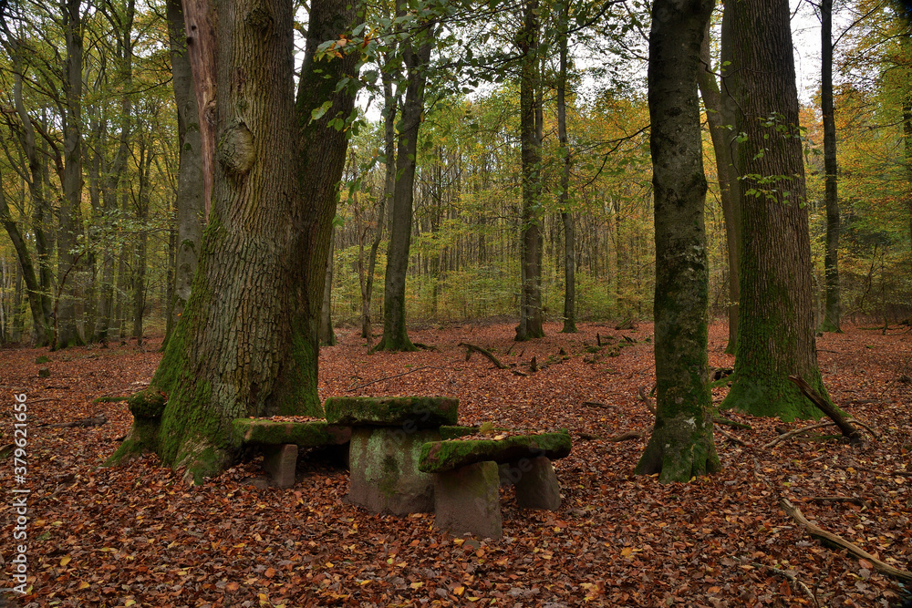 Der steinerne Tisch am Neckarsteig Der steinerne Tisch am Neckarsteig