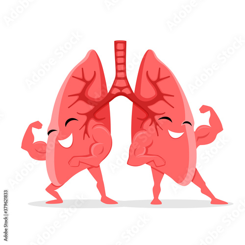 Healthy and strong lungs on white background.