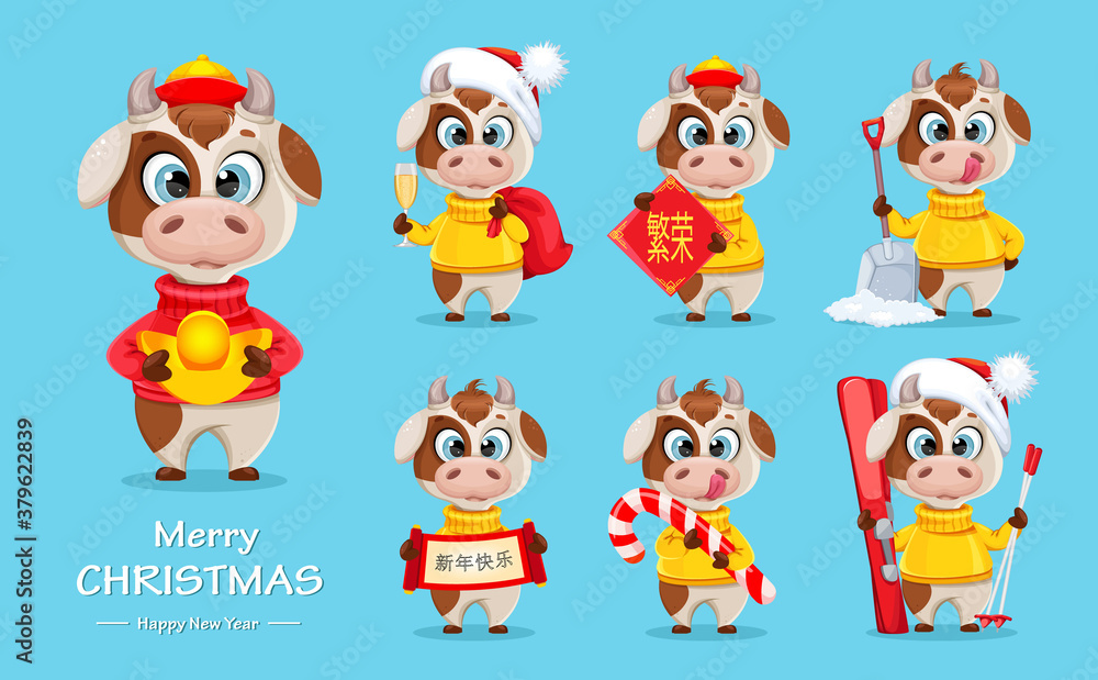 Cute bull cartoon character. Chinese New Year 2021 Cute bull cartoon character. Chinese New Year 2021