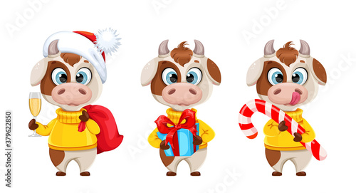 Cute bull cartoon character. Chinese New Year 2021