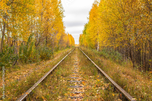 Old railway in the autumn forest.