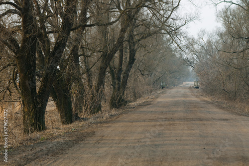 Autumn scenery of rural road in the deciduous forest on a foggy morning.