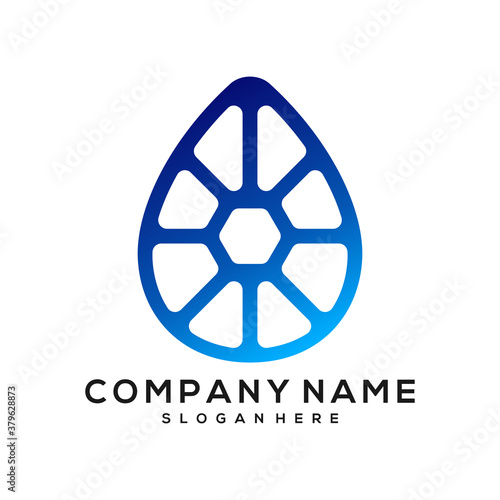 water shell vector, droplet vector logo