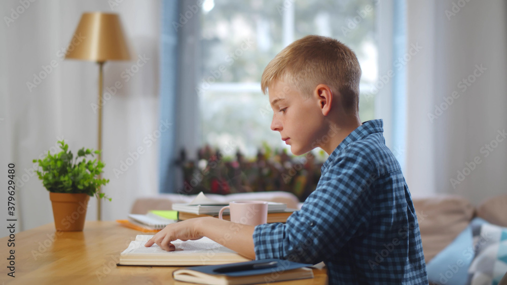 Cute caucasian schoolboy reading and doing homework at home Cute caucasian schoolboy reading and doing homework at home
