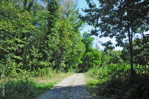 Foresta della Serra Morenica fra Torrazzo e Donato - Biella 