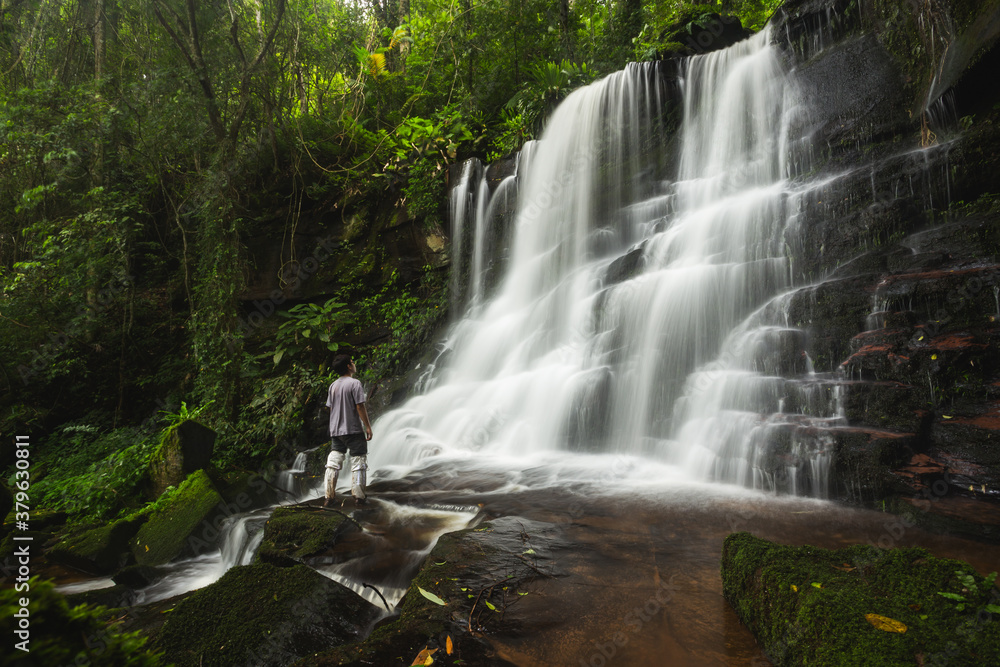 Obraz premium Beautiful moment of Mun dang waterfall with a pink flower foreground in Rain Forest at Phitsanulok Province, Thailand