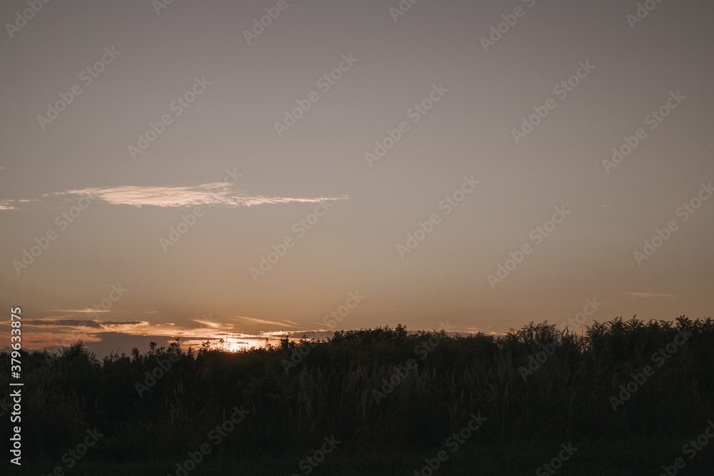 Naklejka premium sunset over the city