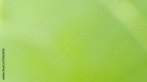 abstract green color in blur photo from nature (plant) and rough texture from leaf with sunlight for background