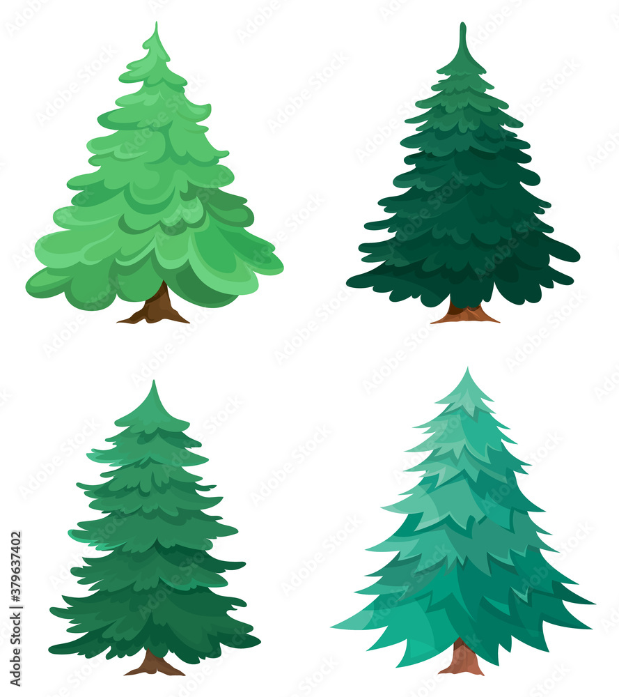 Set of different conifer trees. Collection spruces in cartoon style.