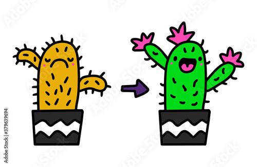 Cactus before and after taking care support hand drawn vector illustration in cartoon doodle style