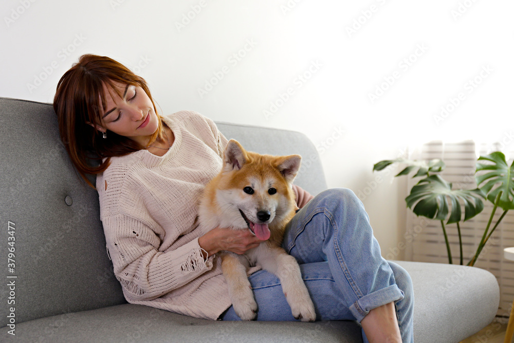Young woman on grey textile sofa with nine months old japanese akita inu lying beside her. Female in denim pants and knitted sweater with funny big breed dog relaxing at home. Close up, copy space. Young woman on grey textile sofa with nine months old japanese akita inu lying beside her. Female in denim pants and knitted sweater with funny big breed dog relaxing at home. Close up, copy space.