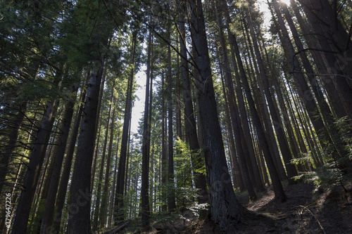 Il coraggio di crescere