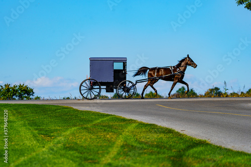 Foto Silhouette view of an Amish Buggy