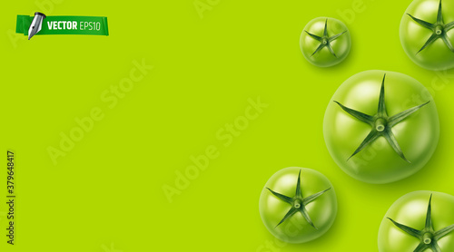 Arrière plan vert avec tomates vectorielles