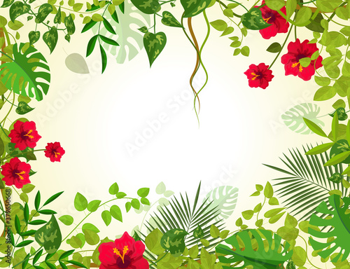 Summer tropical background with jungle plants. Liana branches frames and rainforest tropical leaves flowers. Junglee liana plants for banner greeting template vector