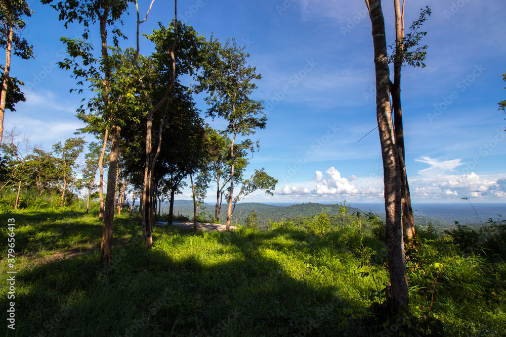 The beautiful green mountain and beautiful nature The beautiful green mountain and beautiful nature