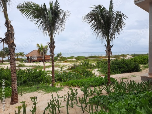 Wallpaper Mural playa Torontodigital.ca