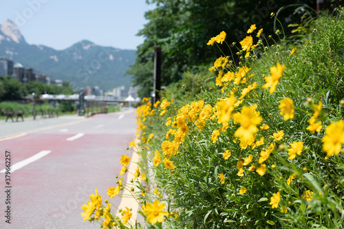 산책로