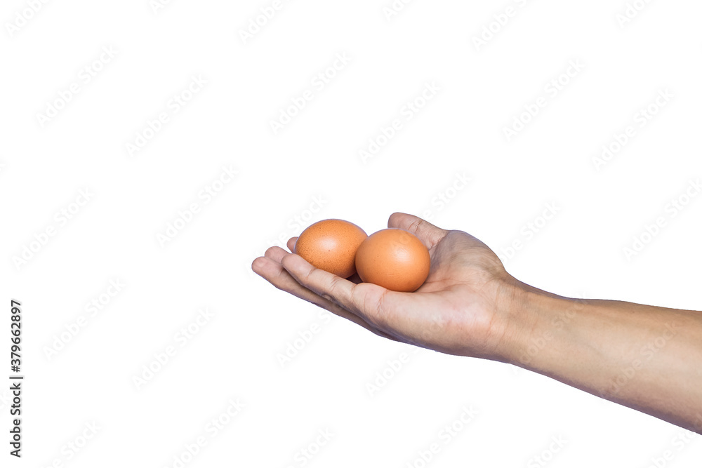 Two eggs In hand holding on a white background Two eggs In hand holding on a white background