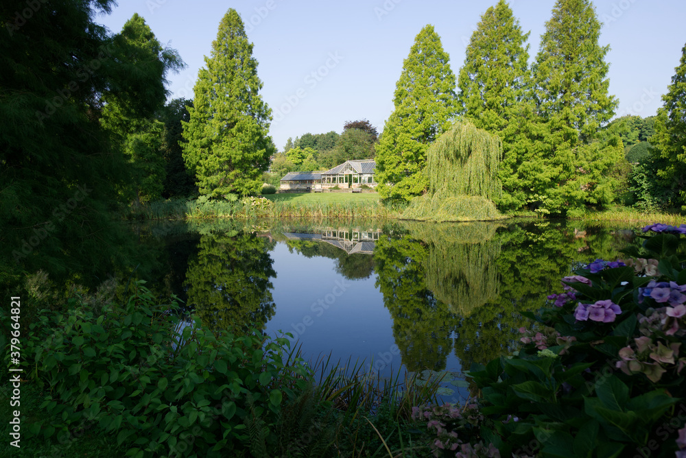 Fototapeta premium reflections of trees in the lake in the park
