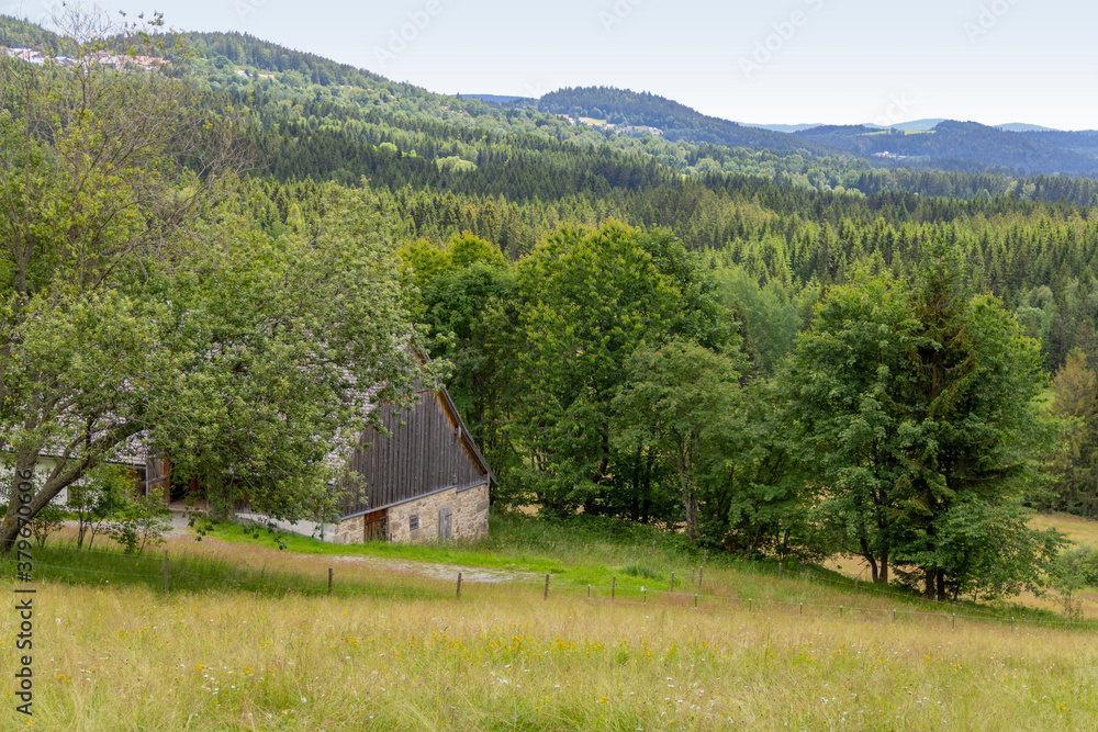 Idyllic Bavarian Forest scenery Idyllic Bavarian Forest scenery