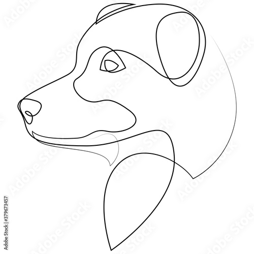 Australian Shepherd vector Dog portrait. Continuous line. Dog line drawing