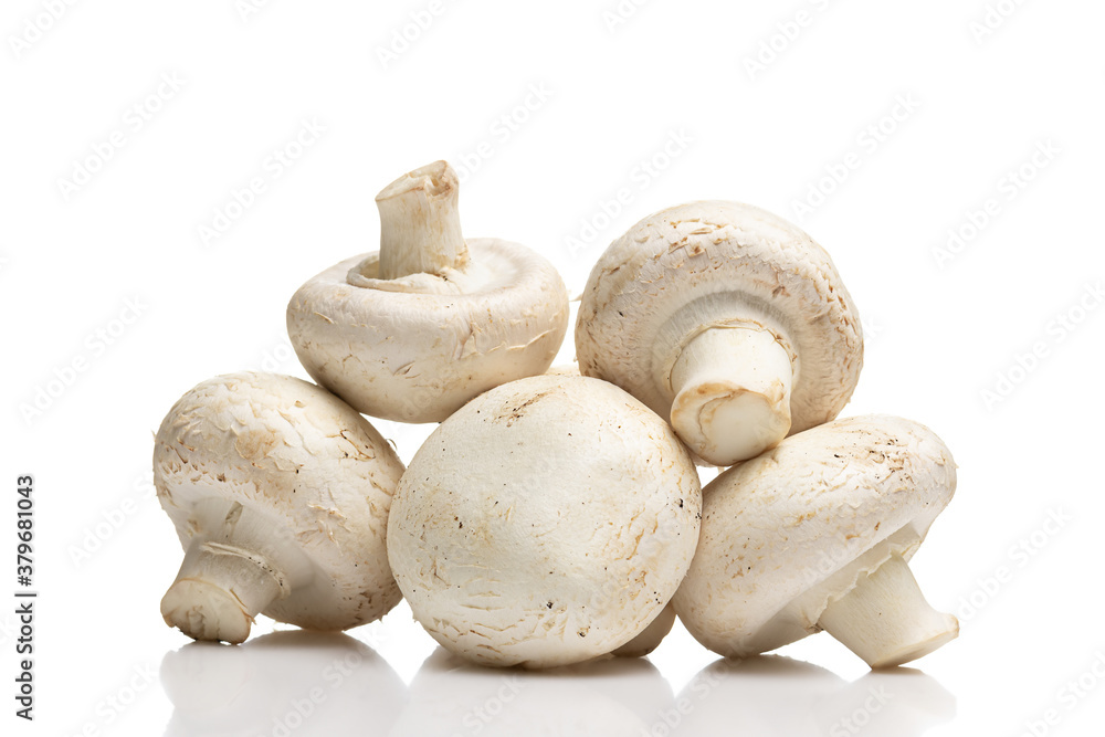 Close up of large fresh champignons (button mushrooms) on smooth reflective surface. Isolated on white background Close up of large fresh champignons (button mushrooms) on smooth reflective surface. Isolated on white background