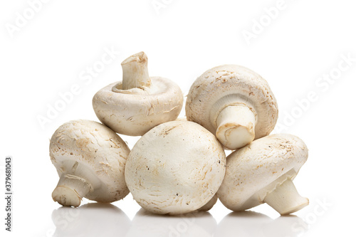 Close up of large fresh champignons (button mushrooms) on smooth reflective surface. Isolated on white background