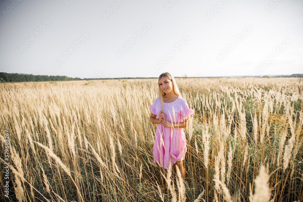 beautiful young woman in dress in summer field beautiful young woman in dress in summer field